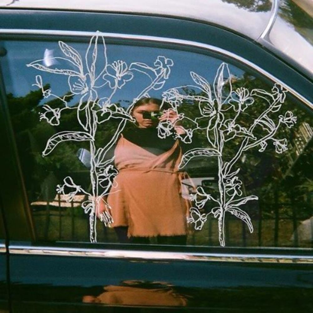 Meet your Posher, Taylor